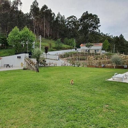 Villa Quinta Da Tormenta -14 Pessoas- Cabeceiras De Basto 2 Casas E Piscina Privada Esterno foto